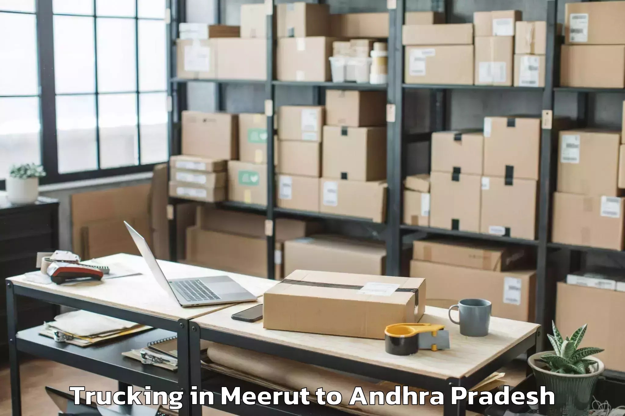 Leading Meerut to Mandapeta Trucking Provider